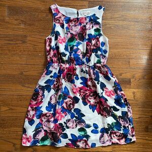 Olive & Oak Pink, Blue and Green Floral Dress